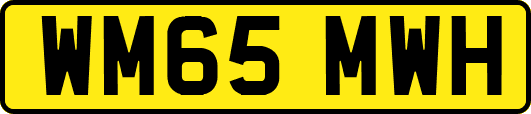 WM65MWH