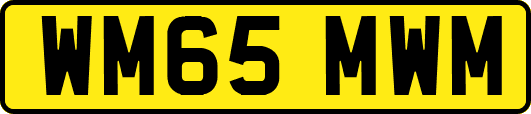 WM65MWM