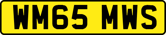 WM65MWS