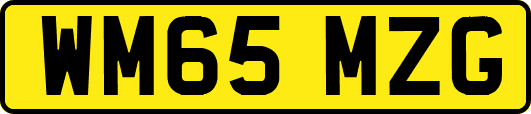 WM65MZG