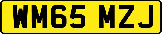 WM65MZJ