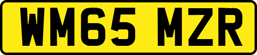 WM65MZR