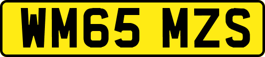 WM65MZS