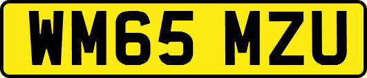 WM65MZU
