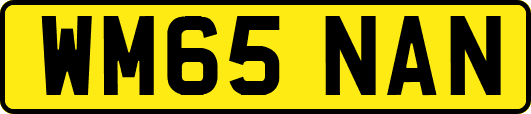 WM65NAN