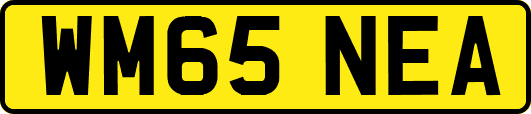 WM65NEA