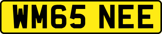 WM65NEE