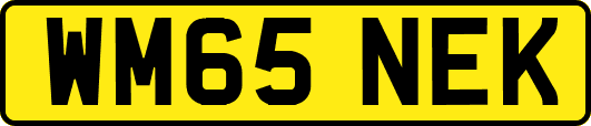 WM65NEK