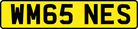 WM65NES