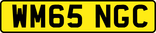 WM65NGC