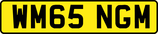 WM65NGM