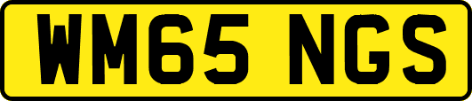 WM65NGS