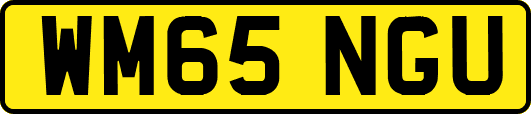 WM65NGU