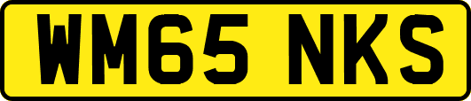 WM65NKS