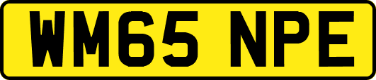 WM65NPE