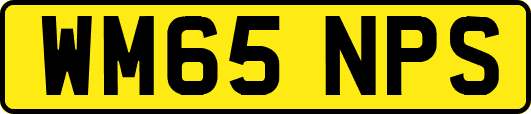 WM65NPS