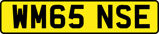 WM65NSE