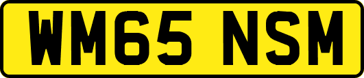 WM65NSM