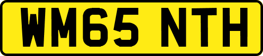WM65NTH