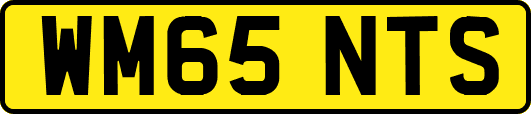 WM65NTS