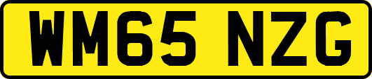 WM65NZG