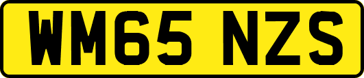 WM65NZS