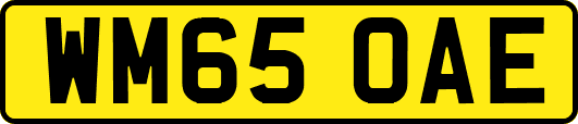 WM65OAE