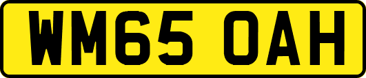 WM65OAH