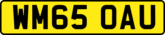 WM65OAU