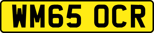 WM65OCR
