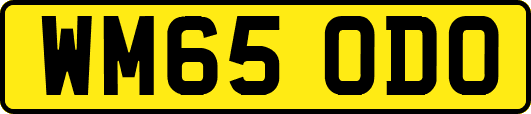 WM65ODO