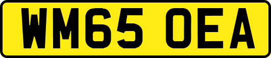 WM65OEA