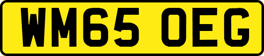 WM65OEG