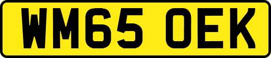 WM65OEK