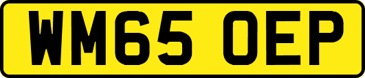 WM65OEP