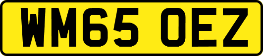 WM65OEZ