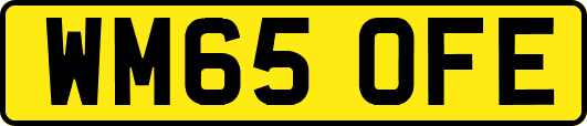 WM65OFE