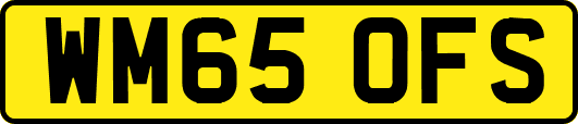 WM65OFS