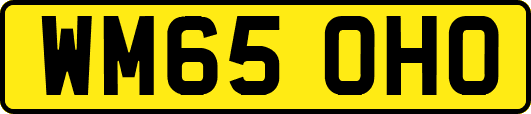 WM65OHO