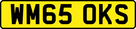 WM65OKS