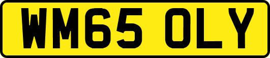 WM65OLY