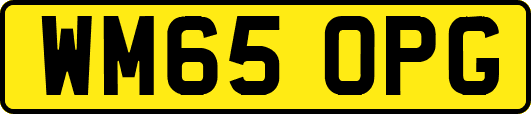 WM65OPG