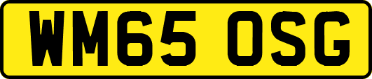 WM65OSG