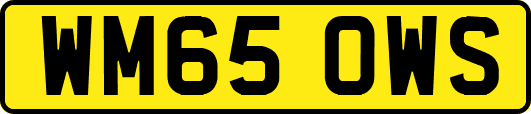 WM65OWS