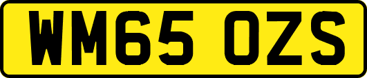 WM65OZS