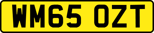 WM65OZT