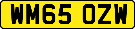 WM65OZW