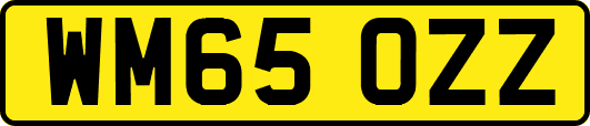WM65OZZ