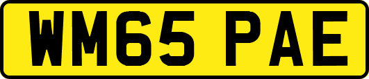 WM65PAE