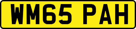 WM65PAH